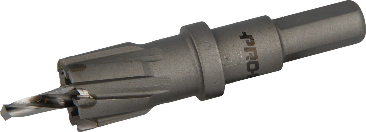 Endura stjärnborr 22 x 25 mm